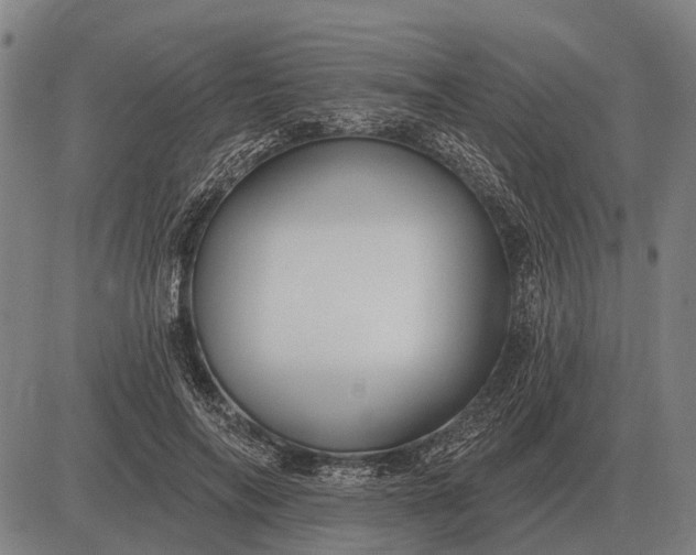 X0000083070694200702161822