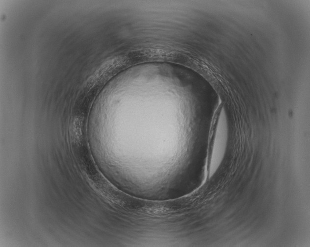 X0000083070695200702161822