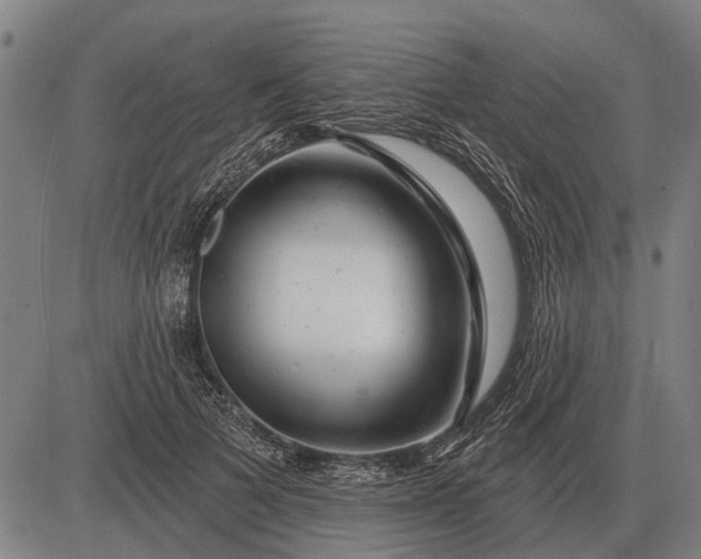 X0000083070697200702161822