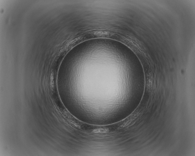 X0000083070700200702161822