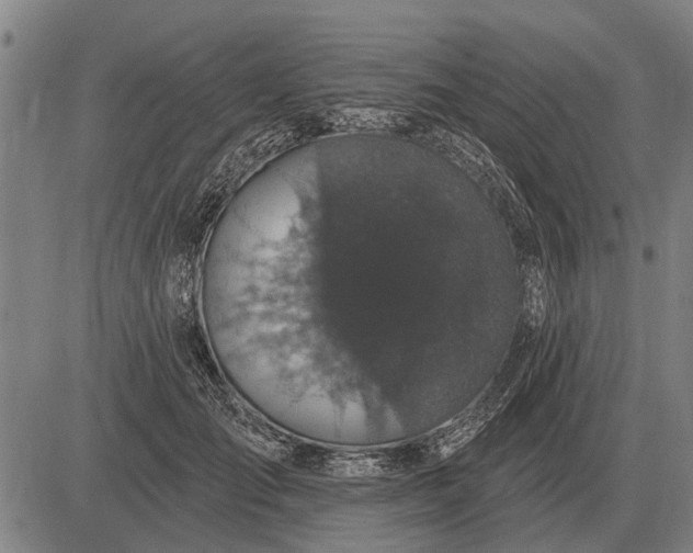 X0000083070701200702161822
