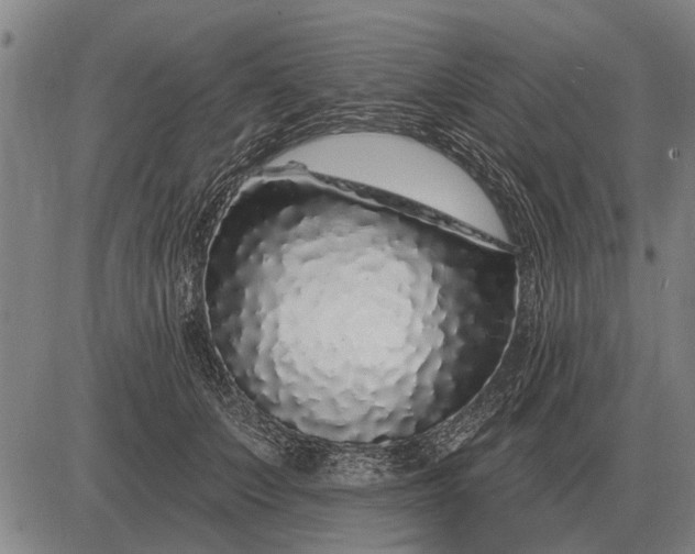 X0000083070703200702161822