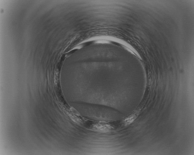 X0000083070712200702161822