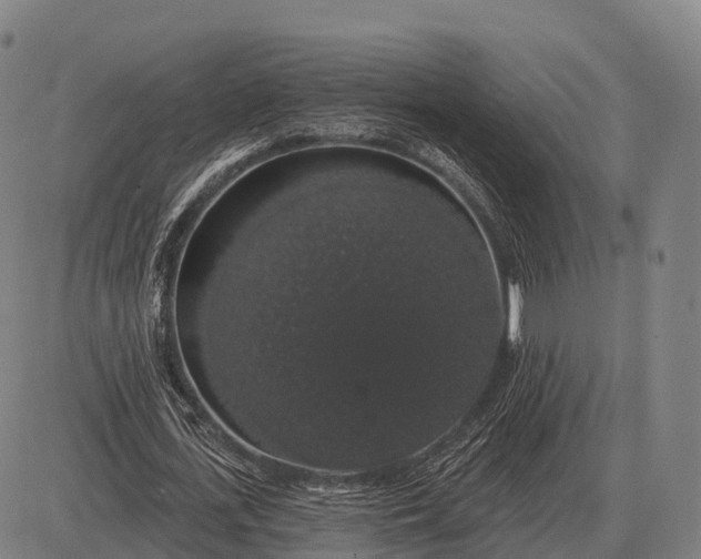 X0000083070723200702161821