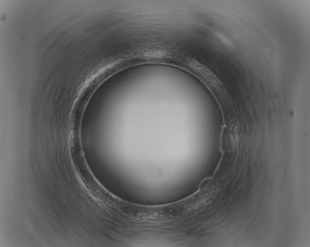 X0000083070728200702161821