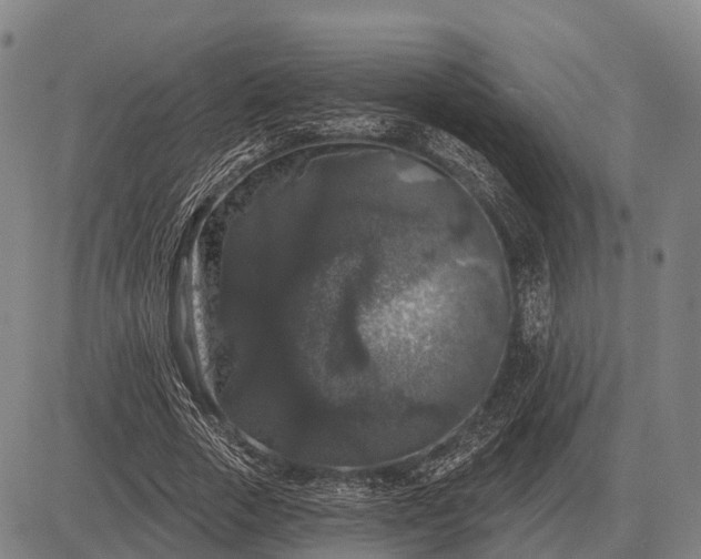 X0000083070729200702161821
