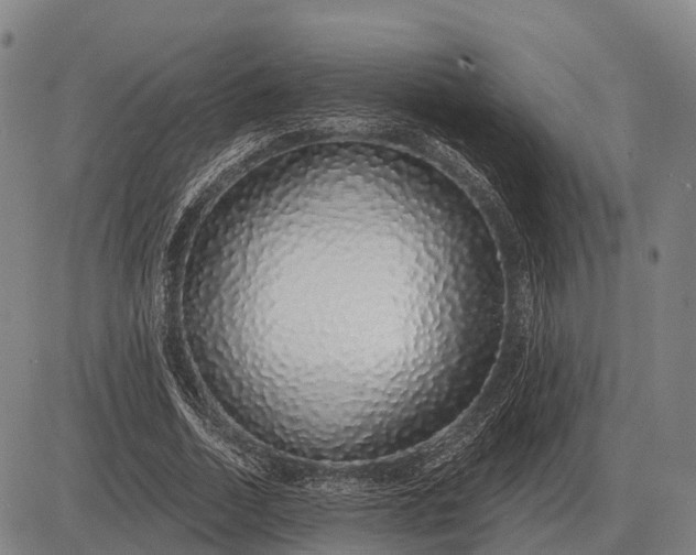 X0000083070730200702161821