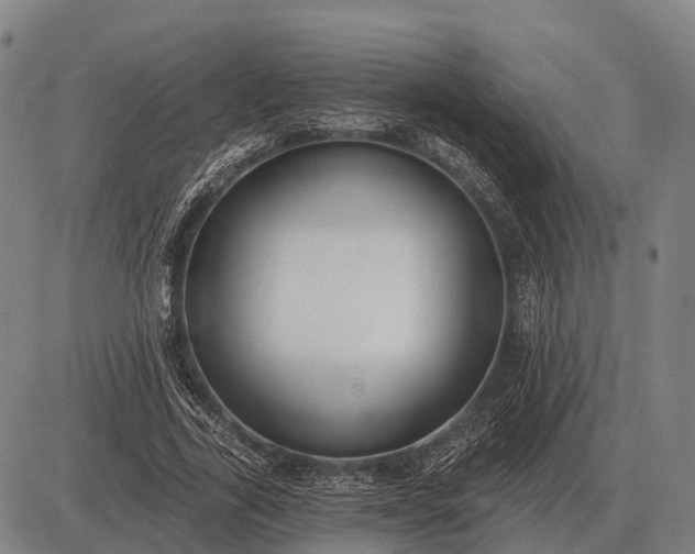 X0000083070731200702161821
