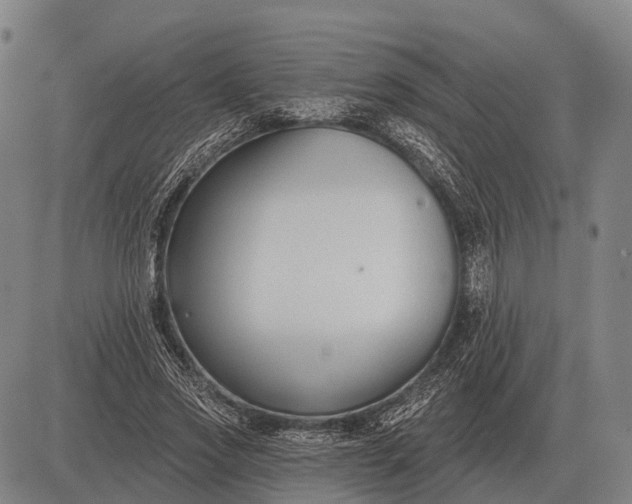 X0000083070733200702161821