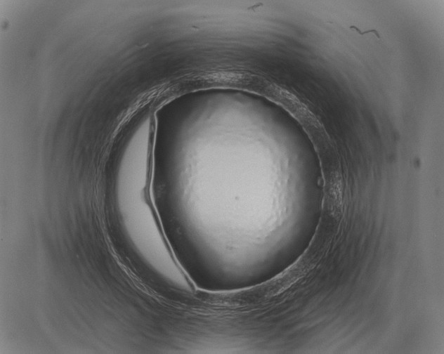 X0000083070734200702161821