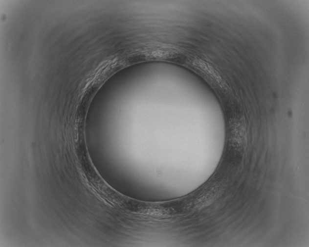X0000083070738200702161821