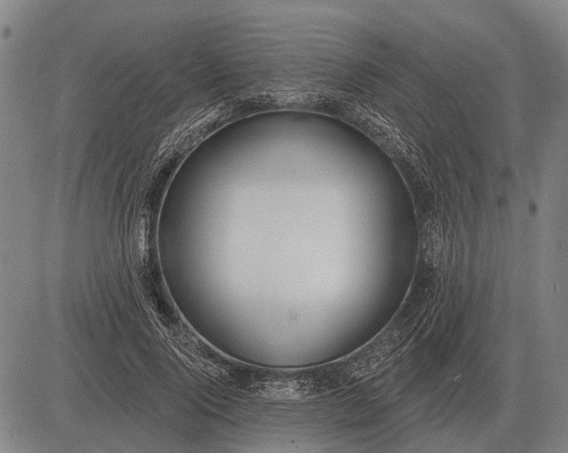 X0000083070740200702161821