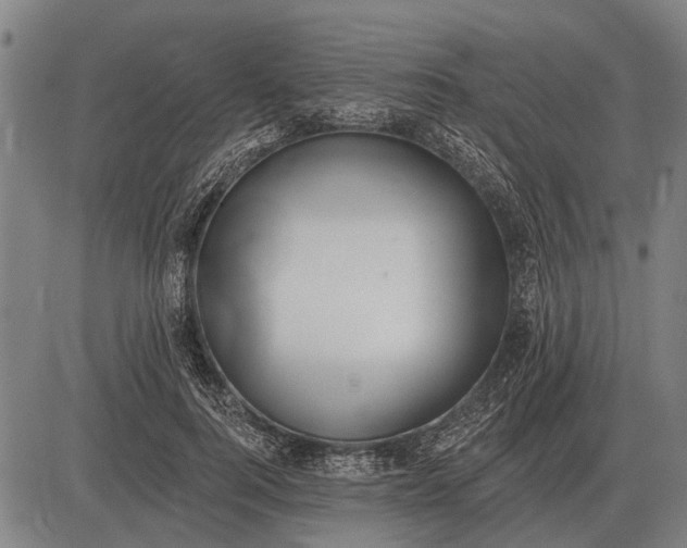 X0000083070744200702161821