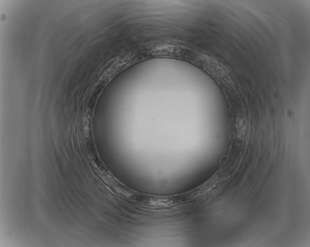 X0000083070753200702161821