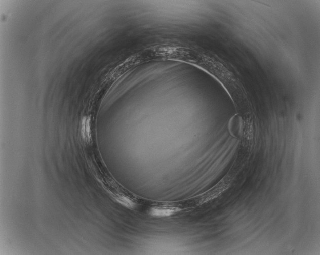 X0000083070754200702161821