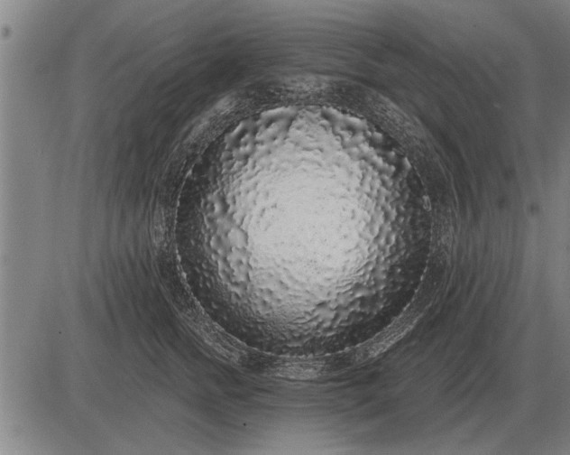 X0000083070758200702161821