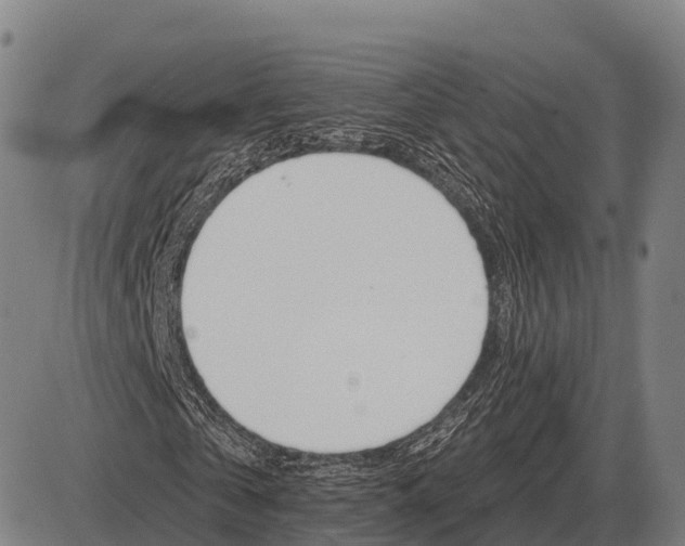 X0000083070769200702161821