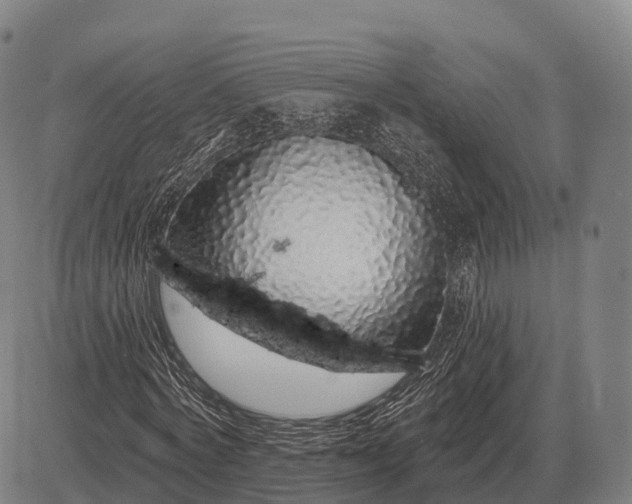 X0000083070772200702161821