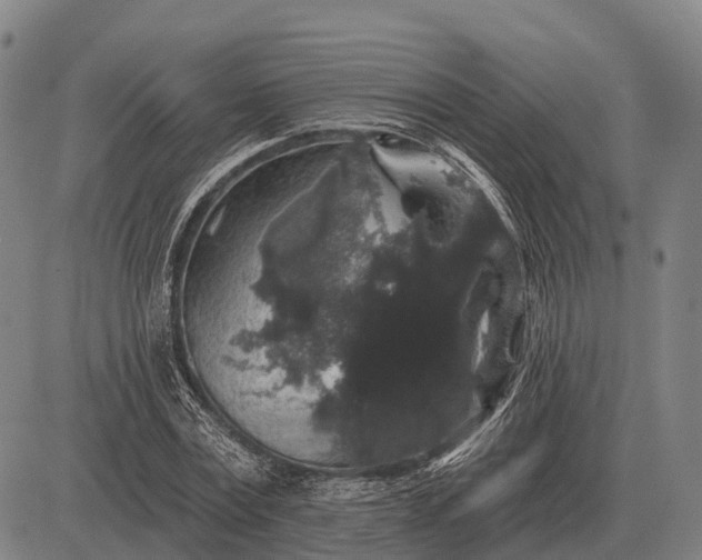 X0000083070779200702161820