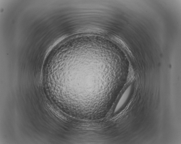 X0000083070780200702161820