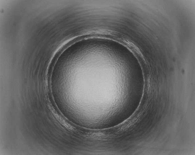 X0000083070784200702161820