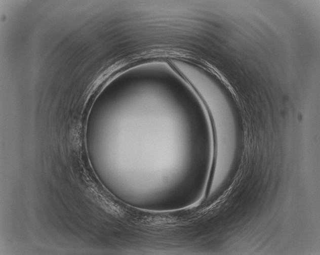 X0000083070786200702161820