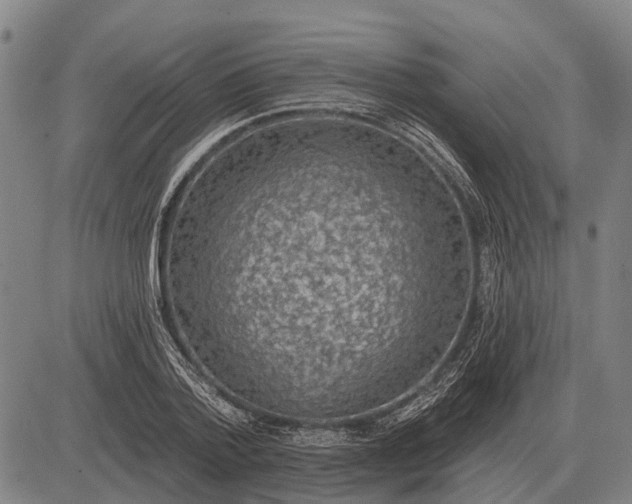 X0000083070788200702161820