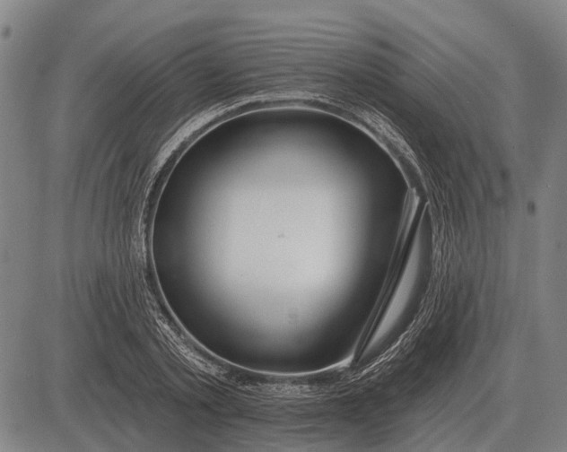 X0000083070789200702161820