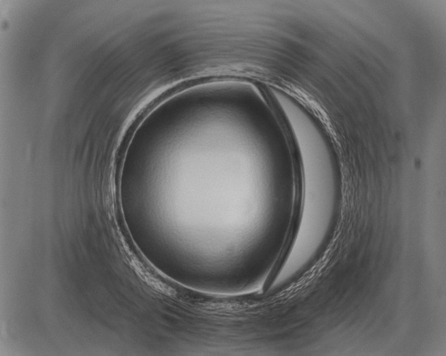 X0000083070792200702161820