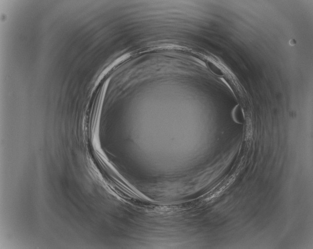 X0000083070806200702161820