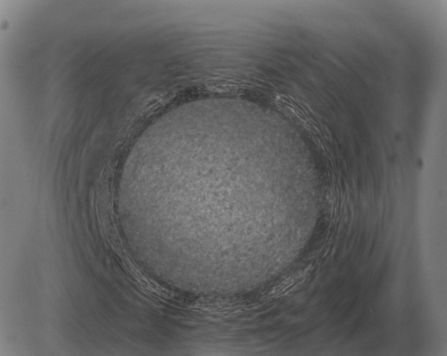 X0000083070817200702161819