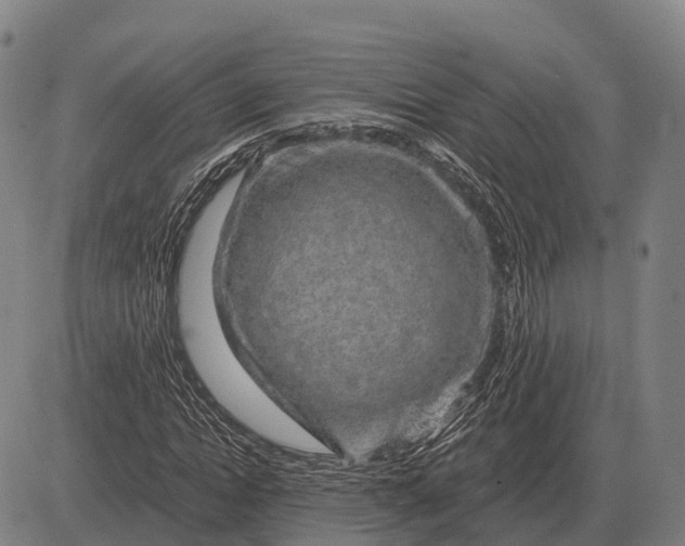 X0000083070822200702161819