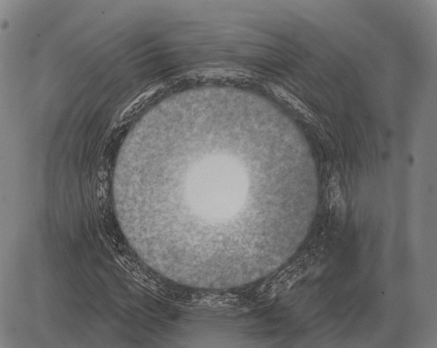 X0000083070824200702161819
