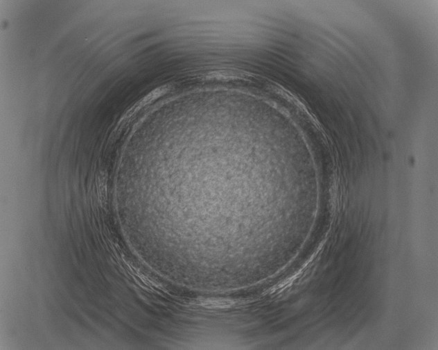 X0000083070825200702161819