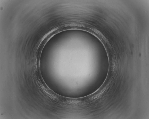 X0000083070830200702161819