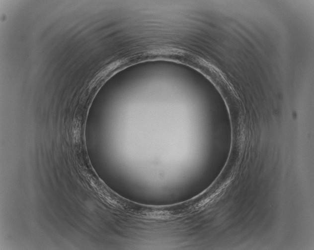 X0000083070833200702161819