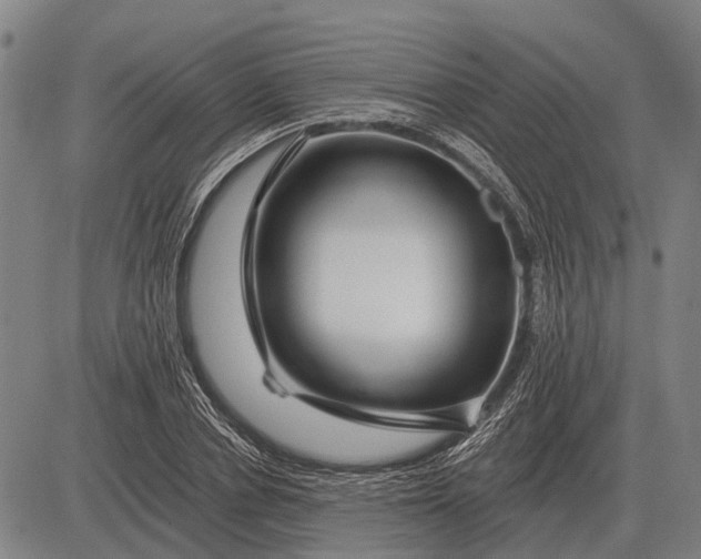 X0000083070834200702161819