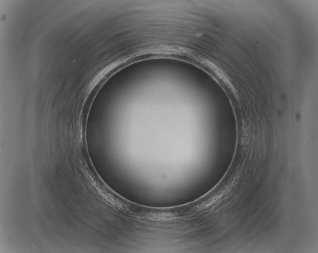 X0000083070837200702161819