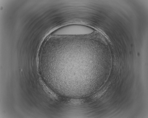 X0000083070840200702161819