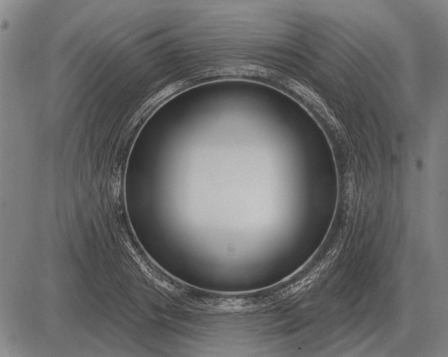 X0000083070841200702161819
