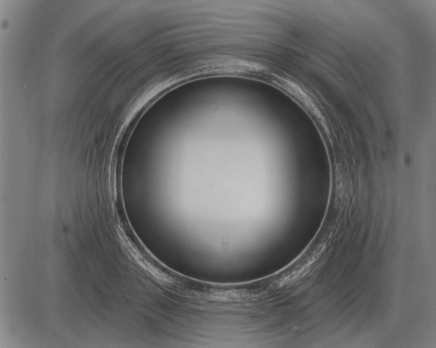 X0000083070843200702161819