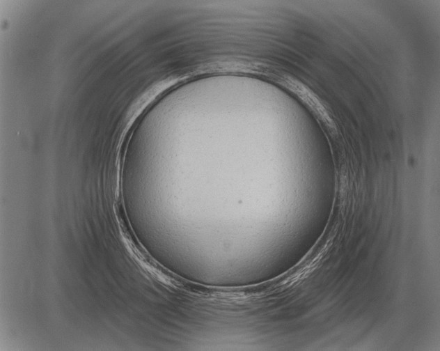 X0000083070844200702161819