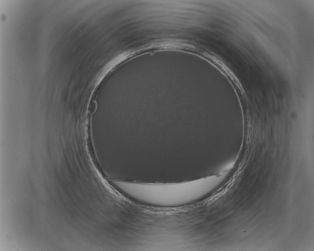 X0000083070853200702161820