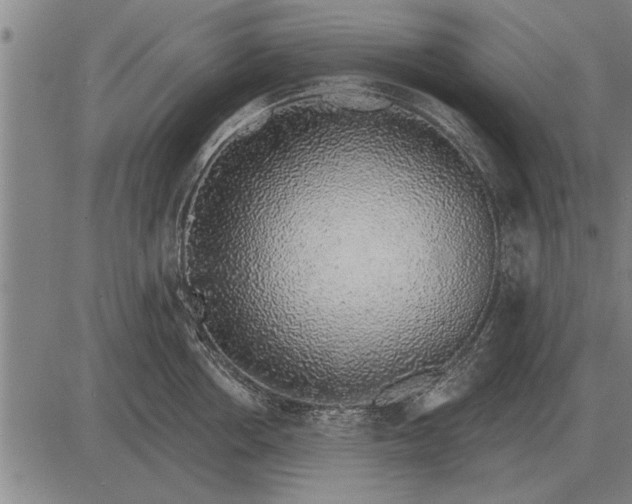 X0000083070858200702161820