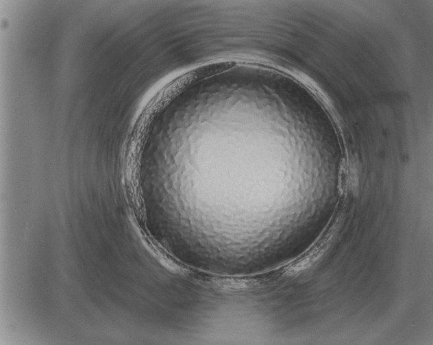X0000083070862200702161820