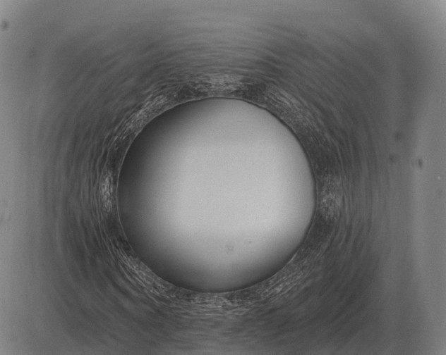X0000083070866200702161819