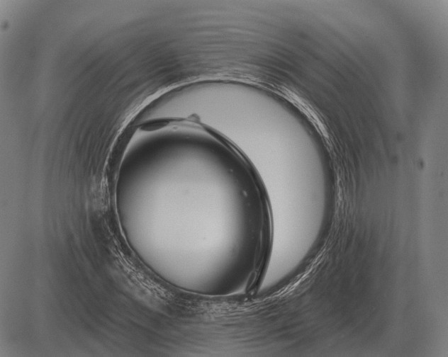 X0000083070876200702161819