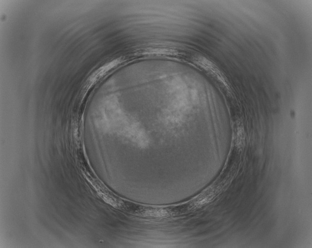 X0000083070882200702161819