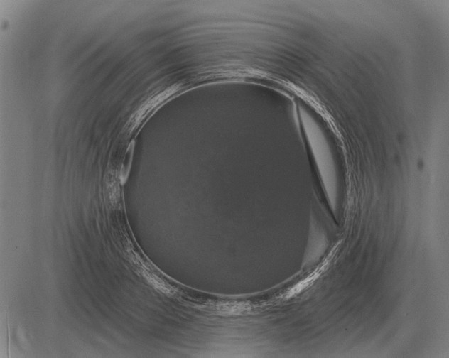 X0000083070889200702161819