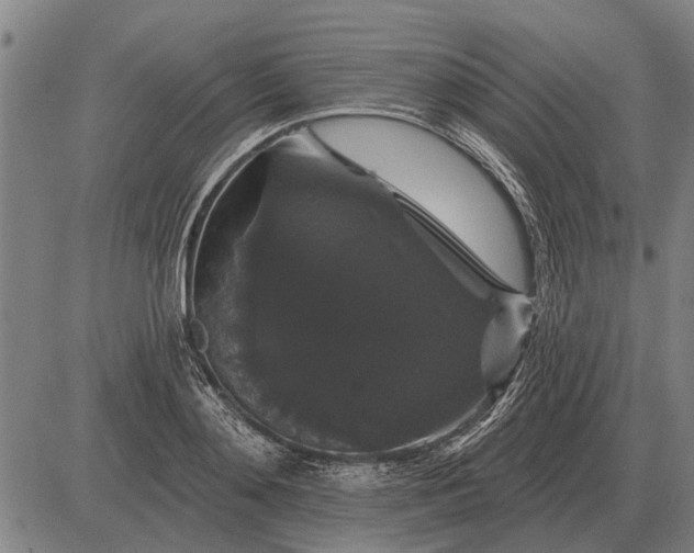 X0000083070892200702161819